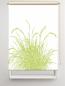 Preview: Rollo Reed24 Apfel blanco, Rollo, Motivrollo, Rollo mit Druck, Fotorollo, bedrucktes Rollo, Fensterrollo,verdunkelndes Rollo, Sonnenschutz Rollo